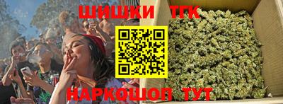 индика Кулебаки