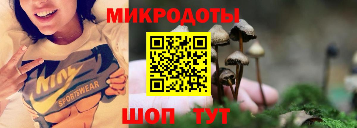 Псилоцибиновые грибы ЛСД  Вход с VPN  Касимов  Псилоцибиновые грибы Psilocybine cubensis 